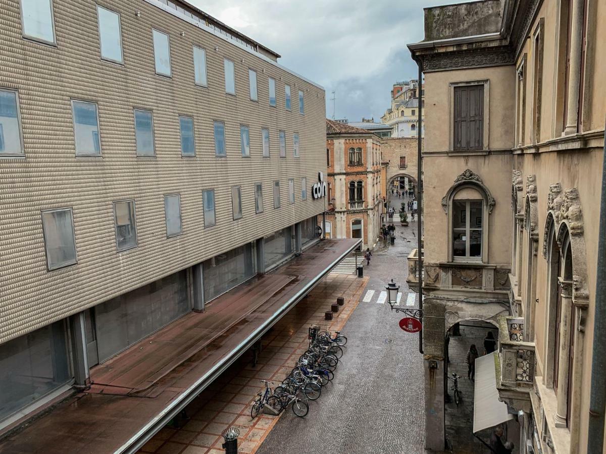 Apartment Altinate33 *